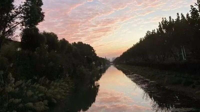 公司注销与吊销：一字之差，天壤之别